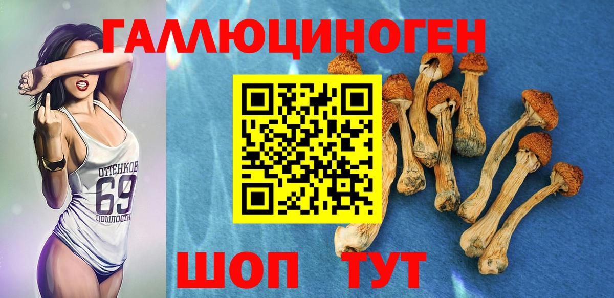 Екатеринбург  Галлюциногенные грибы GOLDEN TEACHER  Вход с VPN 