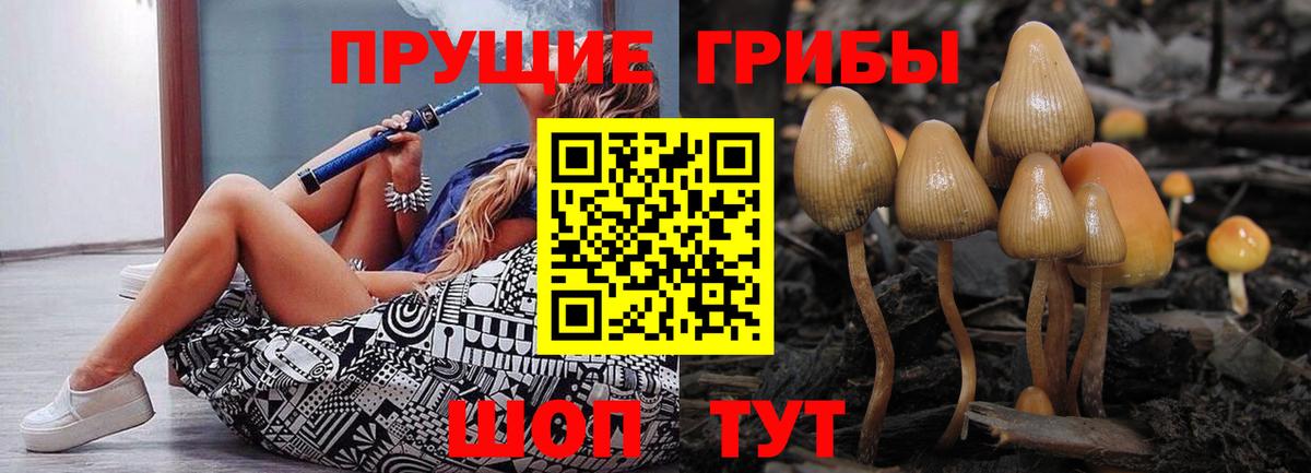 Псилоцибиновые грибы Psilocybe Екатеринбург